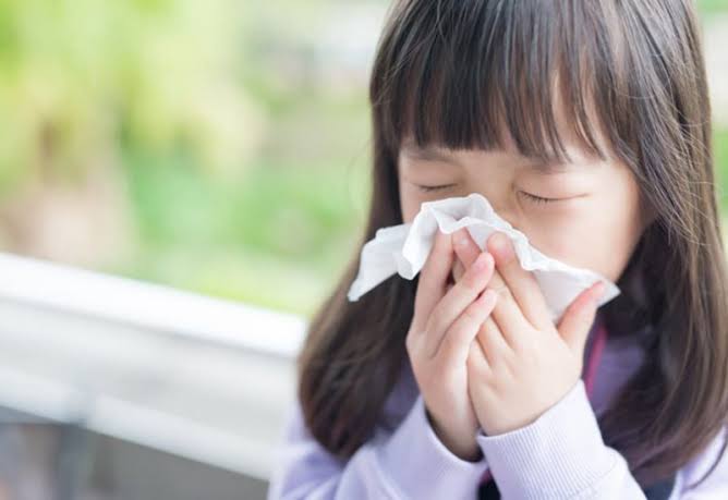 Cúm Mùa Có Lây Không? Những Điều Bạn Cần Biết Để Phòng Tránh