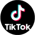 wiget tiktok url